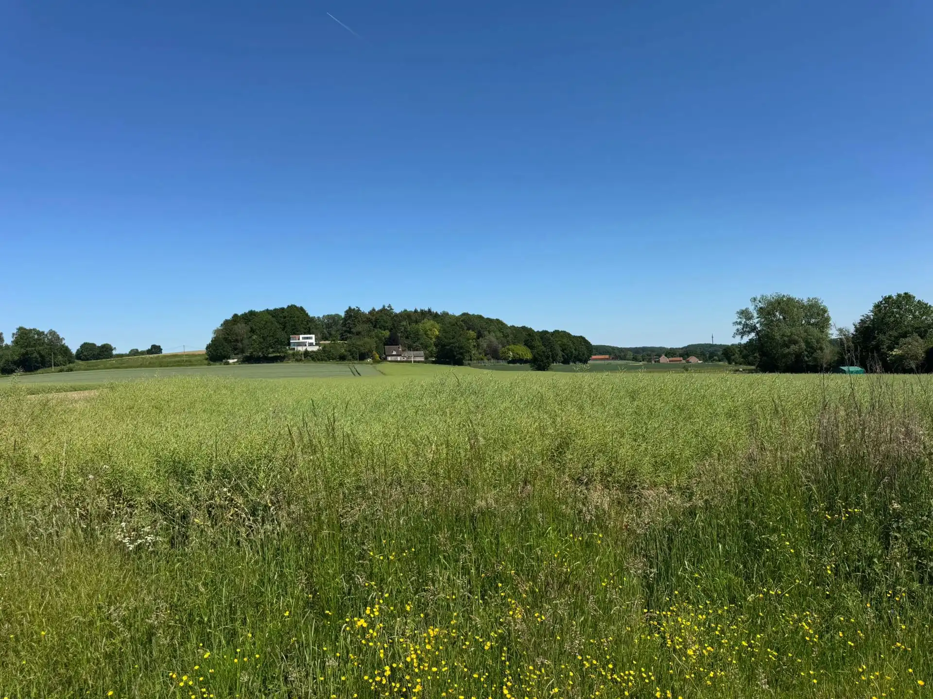 Bouwgrond voor HOB op 9 are 81 ca foto 3