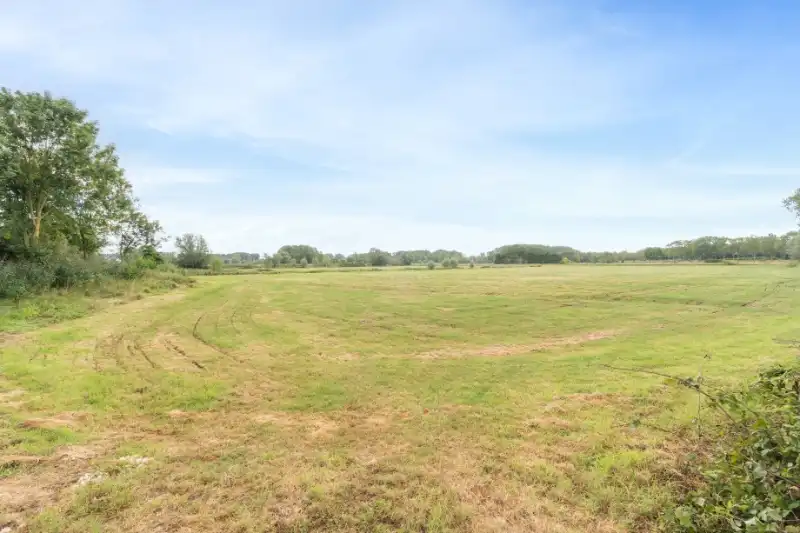 Landbouwgrond 54395 m² - vrij van pacht eind 2027 !!! foto 15