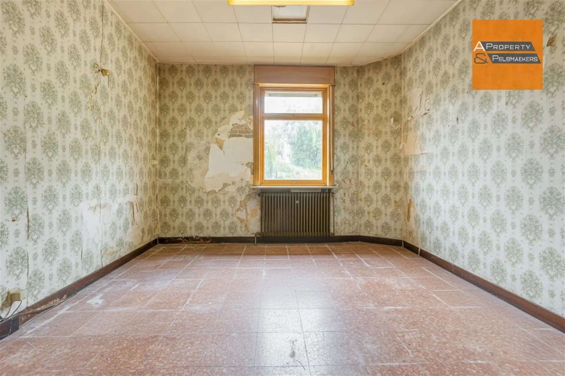 Huis foto 5