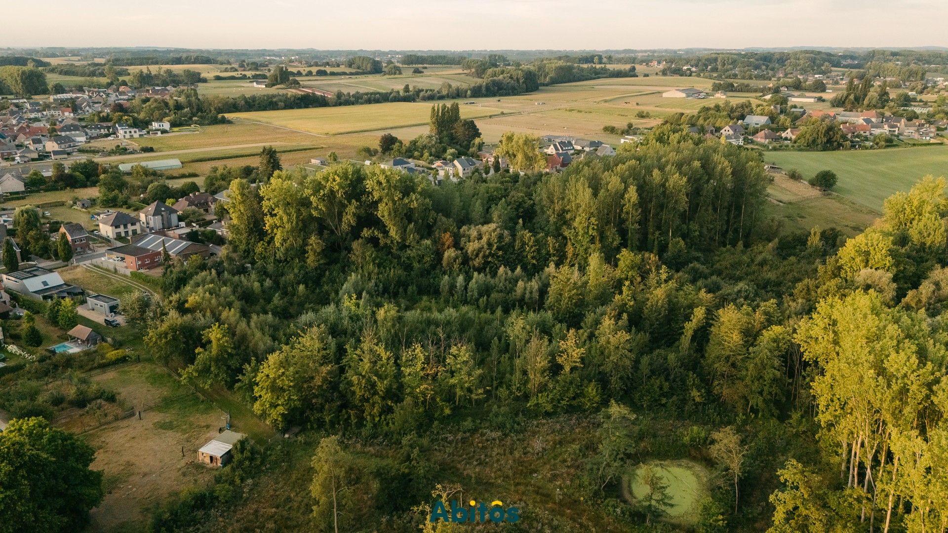 Bosgrond van 11.800 m² foto 5