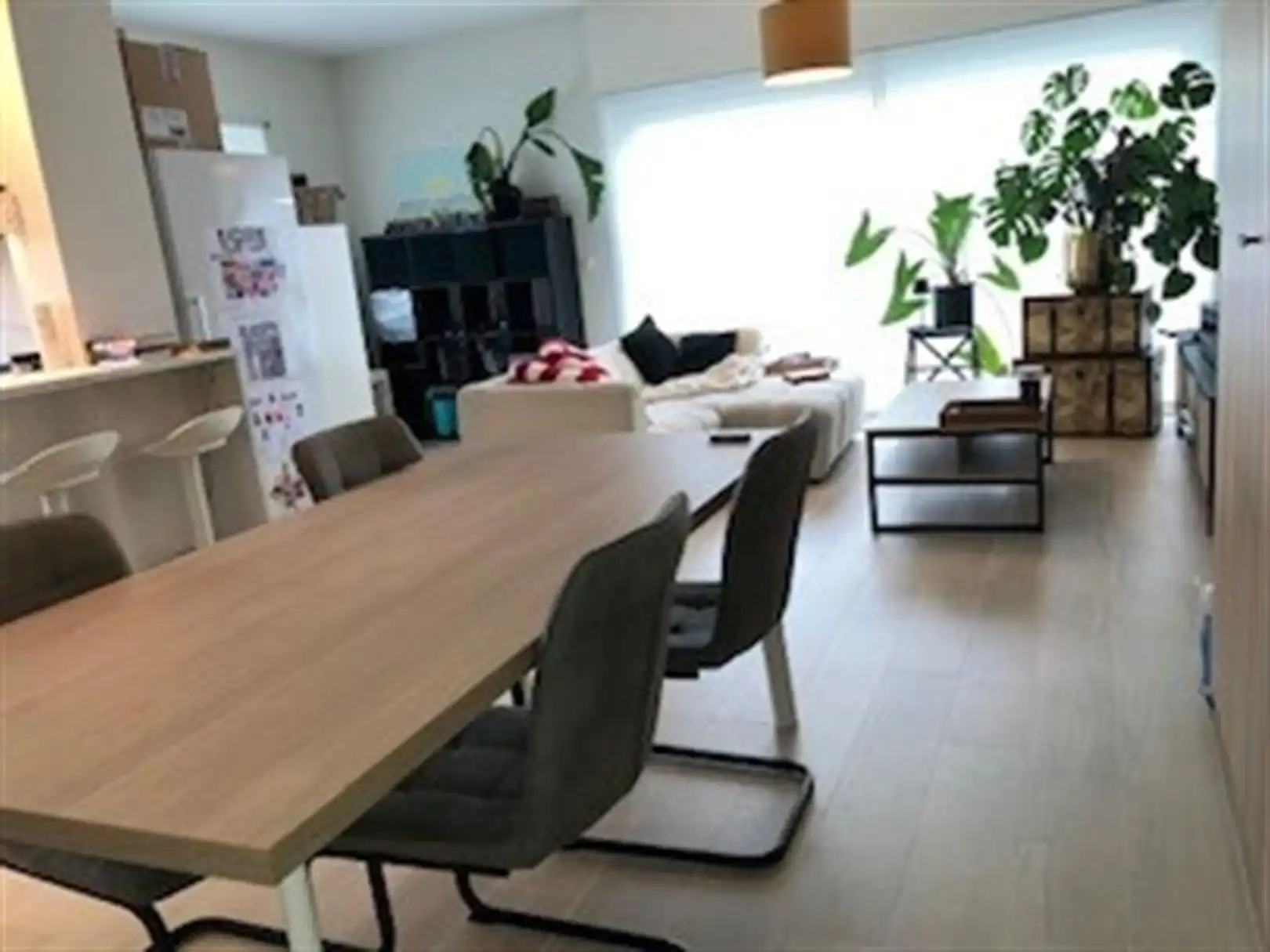 Gemeubeld 2-slaapkamerappartement met garage in Ekeren foto {{pictureIndex}}