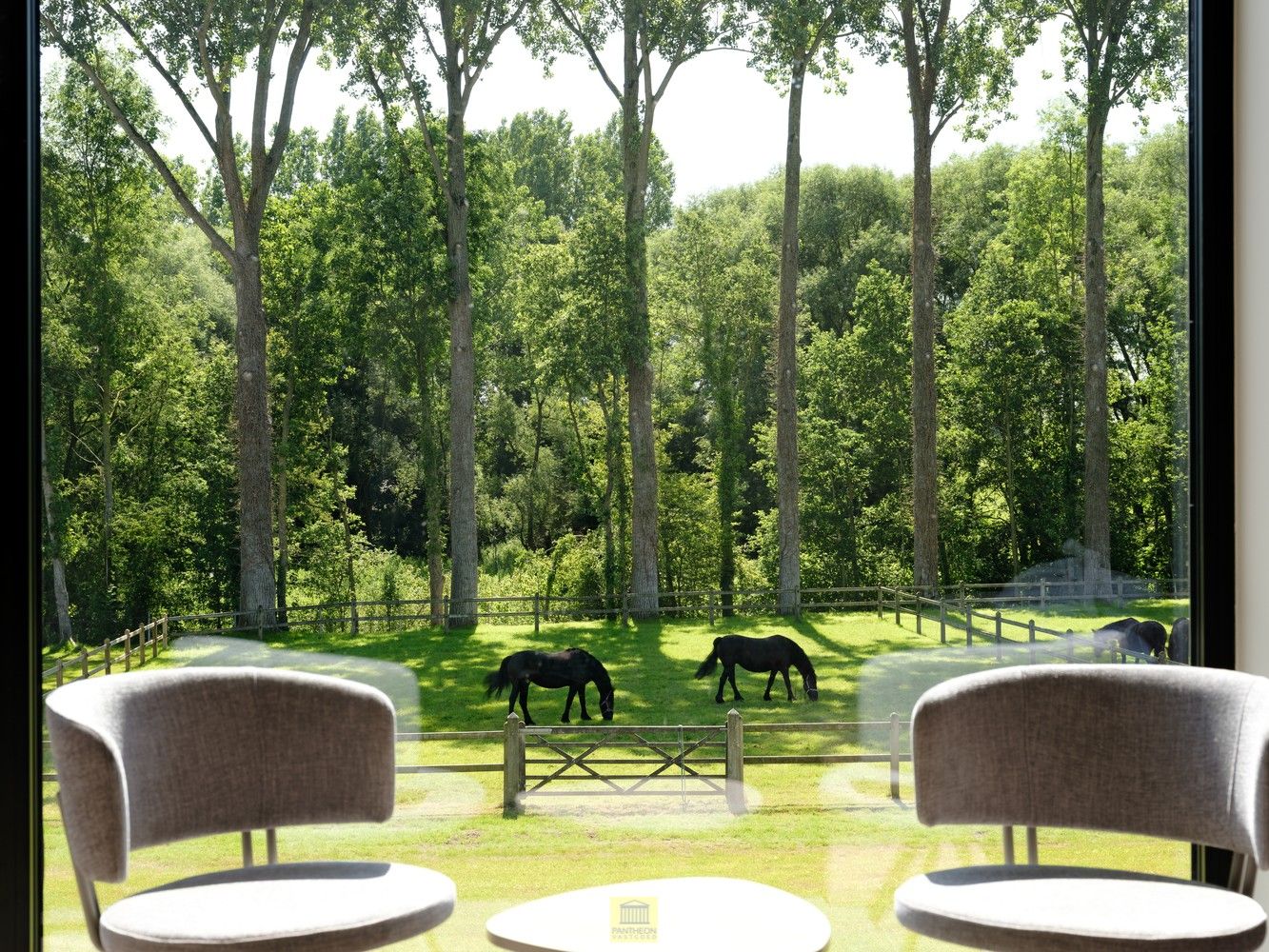 Uitzonderlijk pand - manege met gastenverblijf foto 16