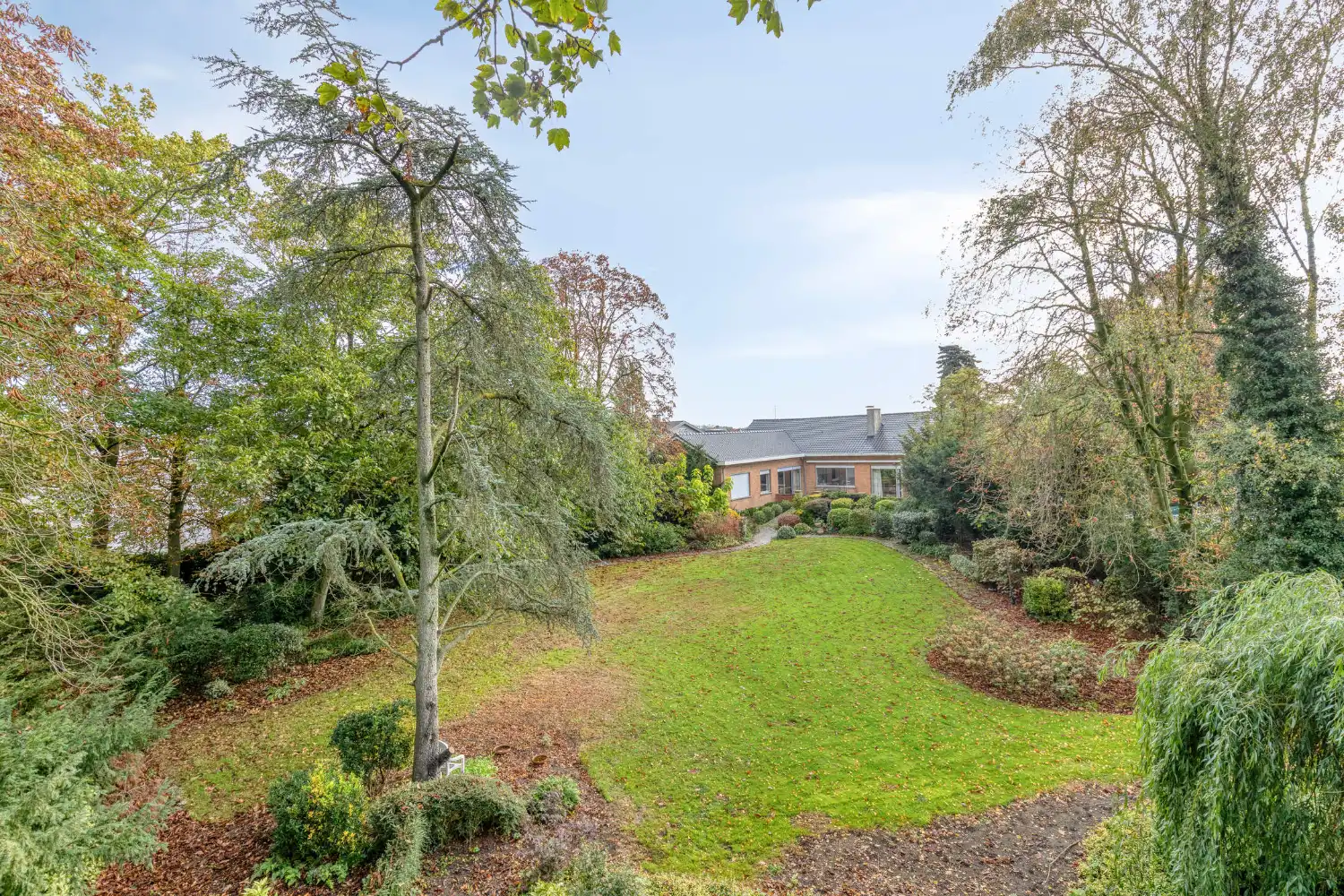 Uniek perceel met villa, loods en uitbreidingsmogelijkheiden foto 5