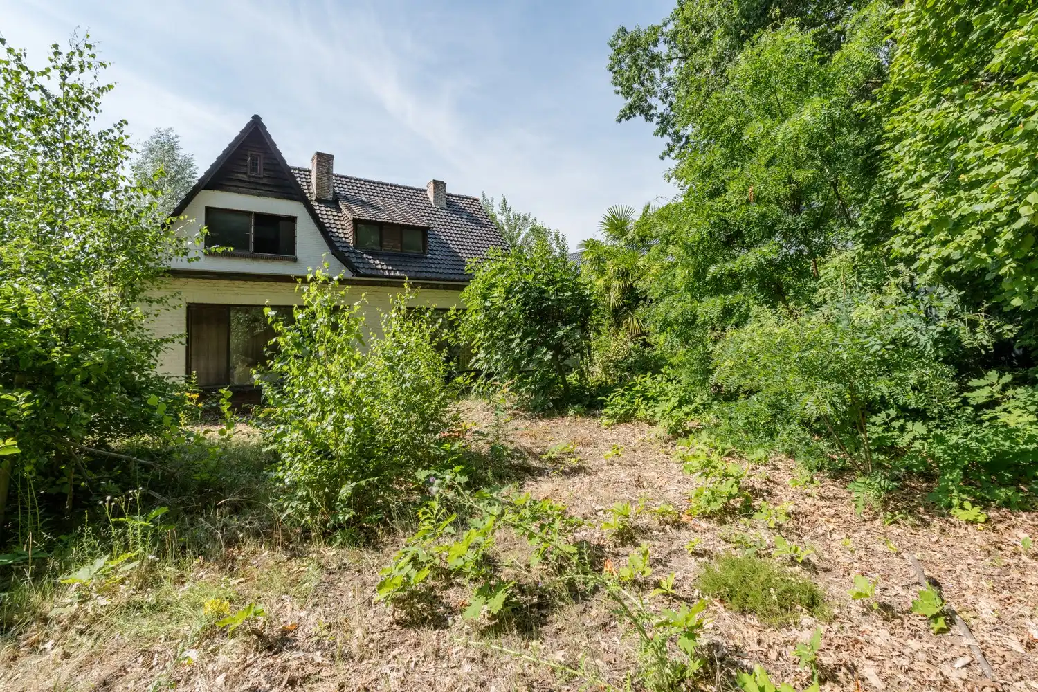 Ruime multifunctionele woning met een toonzaal en een schitterend perceel van 1108 m²! foto 4