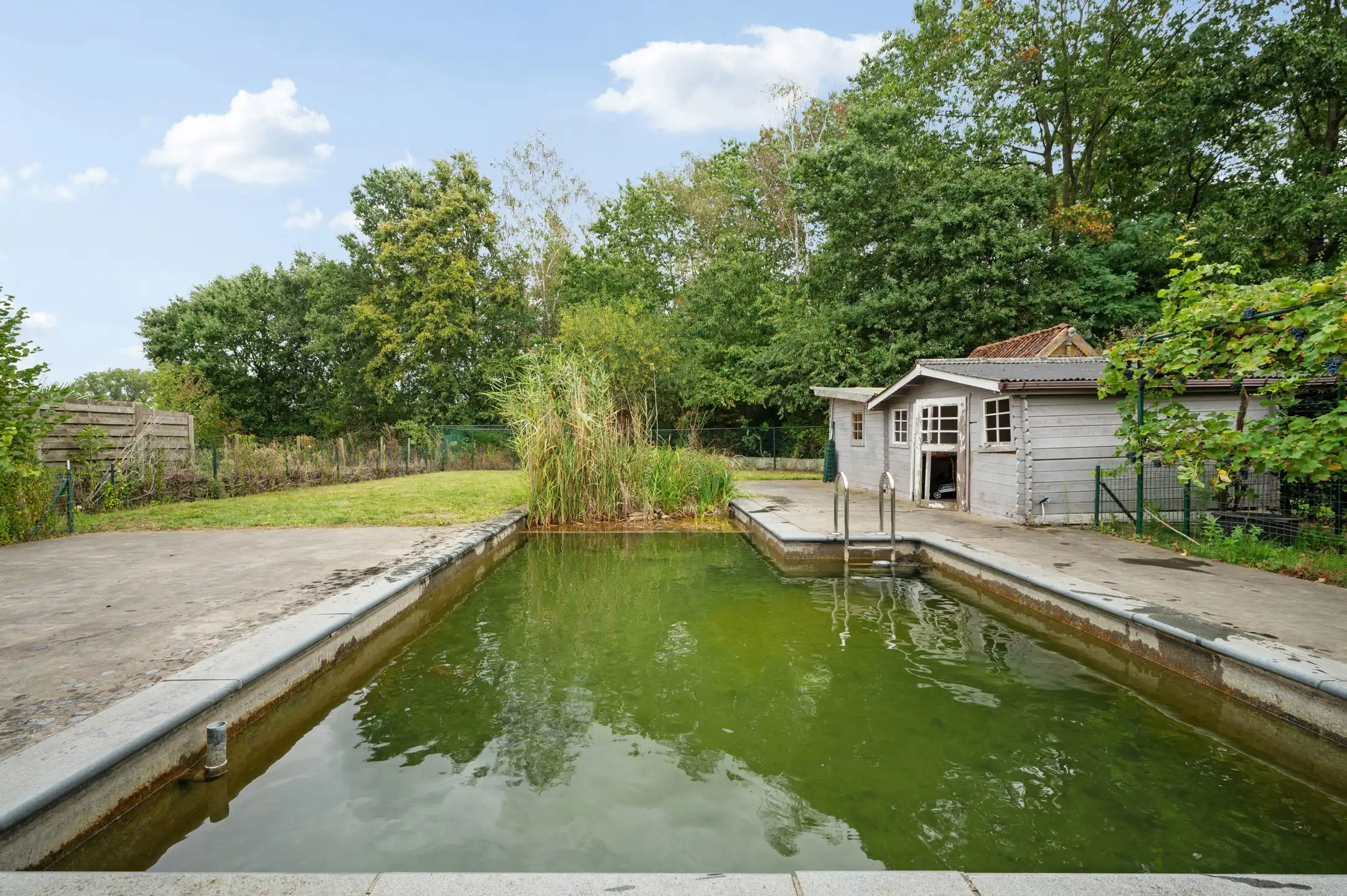 Huis te huur foto 16