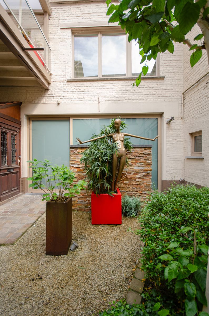 Stijlvol handelspand met luxe-appartement en tuin foto 7