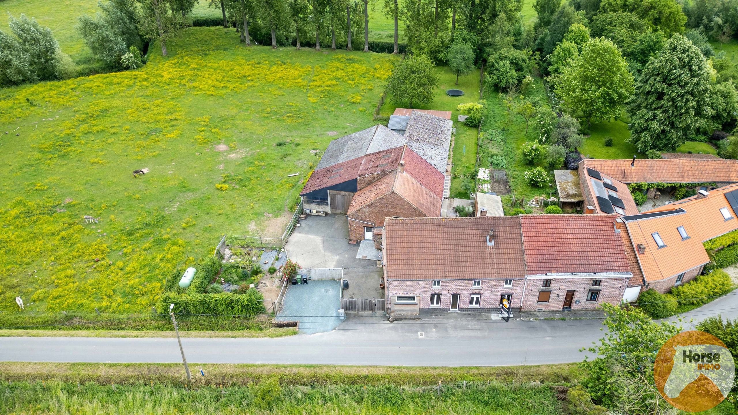 HERNE - Gerenoveerde woning met hangar op +-1ha foto 4