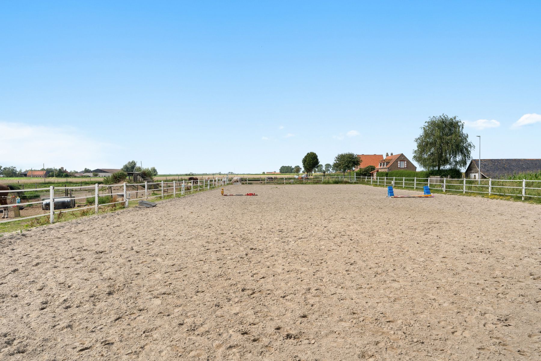 Charmante paardenmanège met woonruimte en gezellig café in Varsenare foto 10