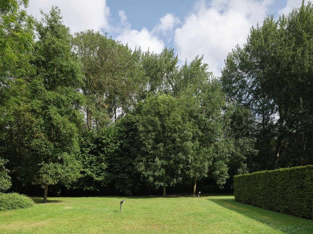 Tuinappartement met 2 slaapkamers nabij de Blaarmeersen en het station Gent St.-Pieters. foto 14