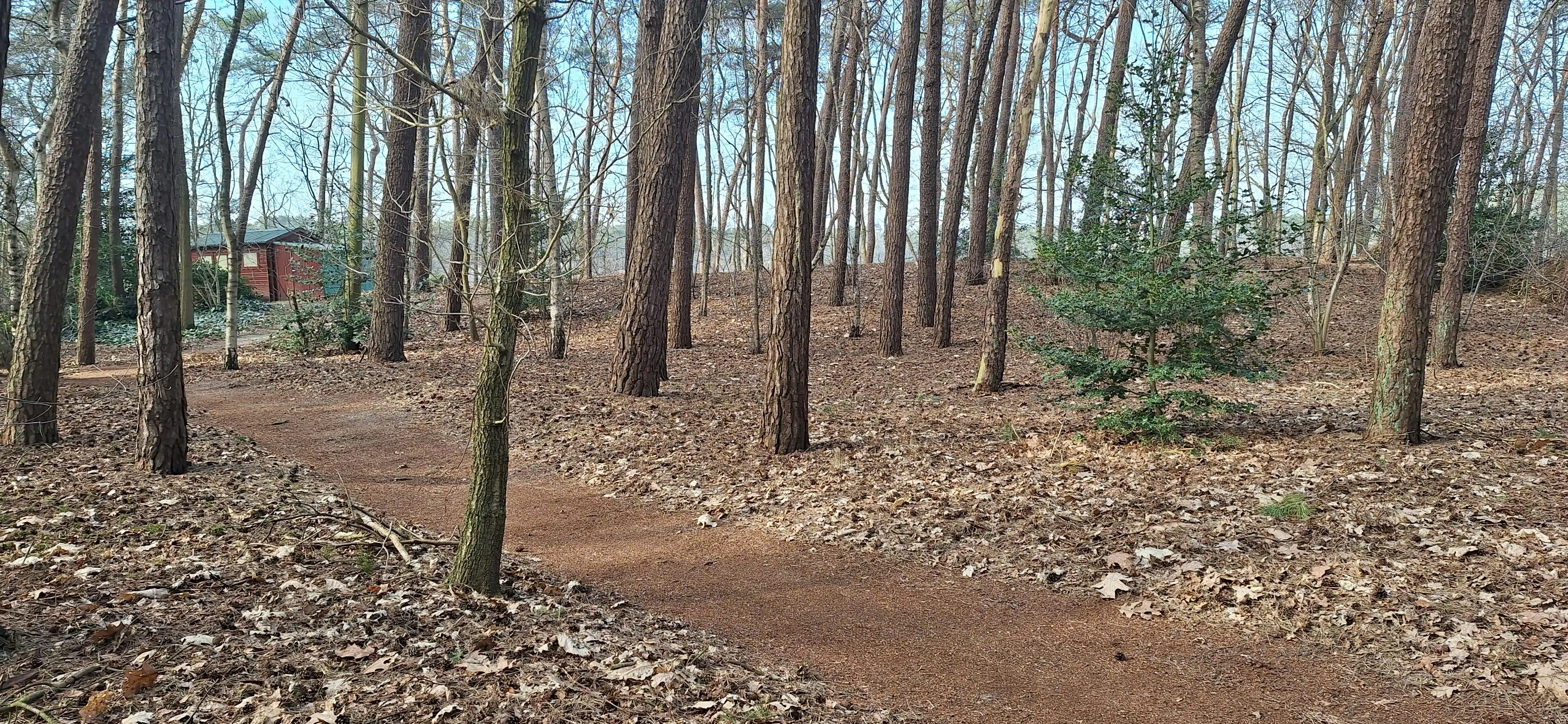 Verzorgde woning op prachtige bosgrond te koop in Wuustwezel foto 36