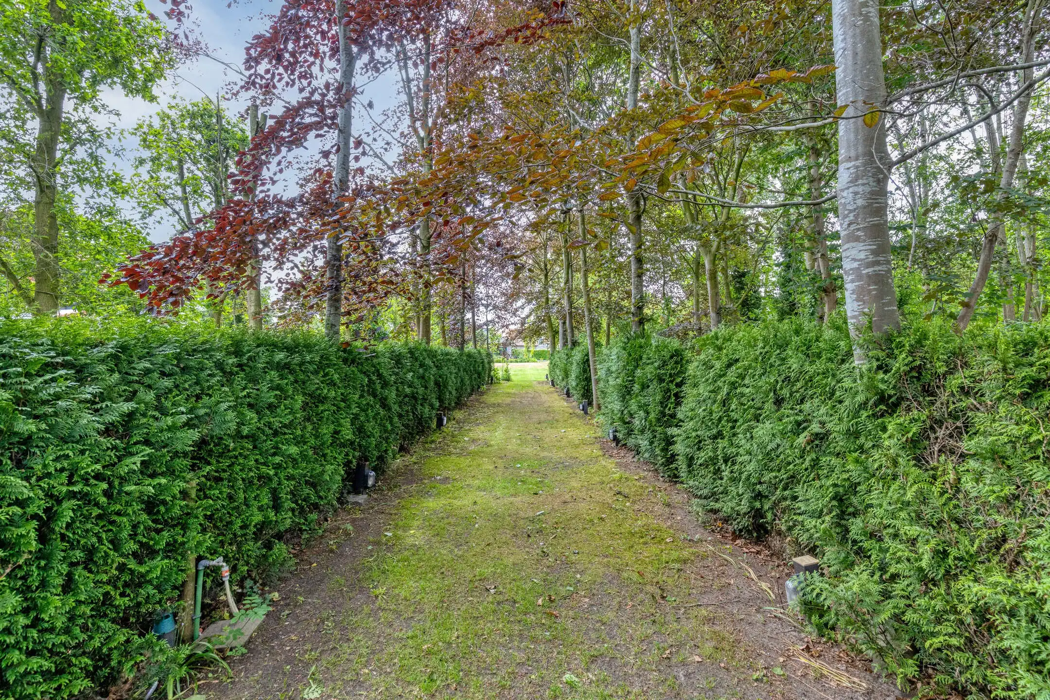 Exclusief wonen in een oase van rust ! foto 58