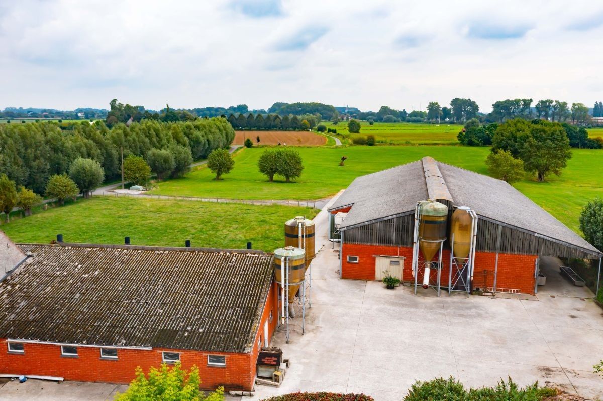 Subliem mooi gelegen hoeve te koop te Dentergem (Oeselgem) foto 8