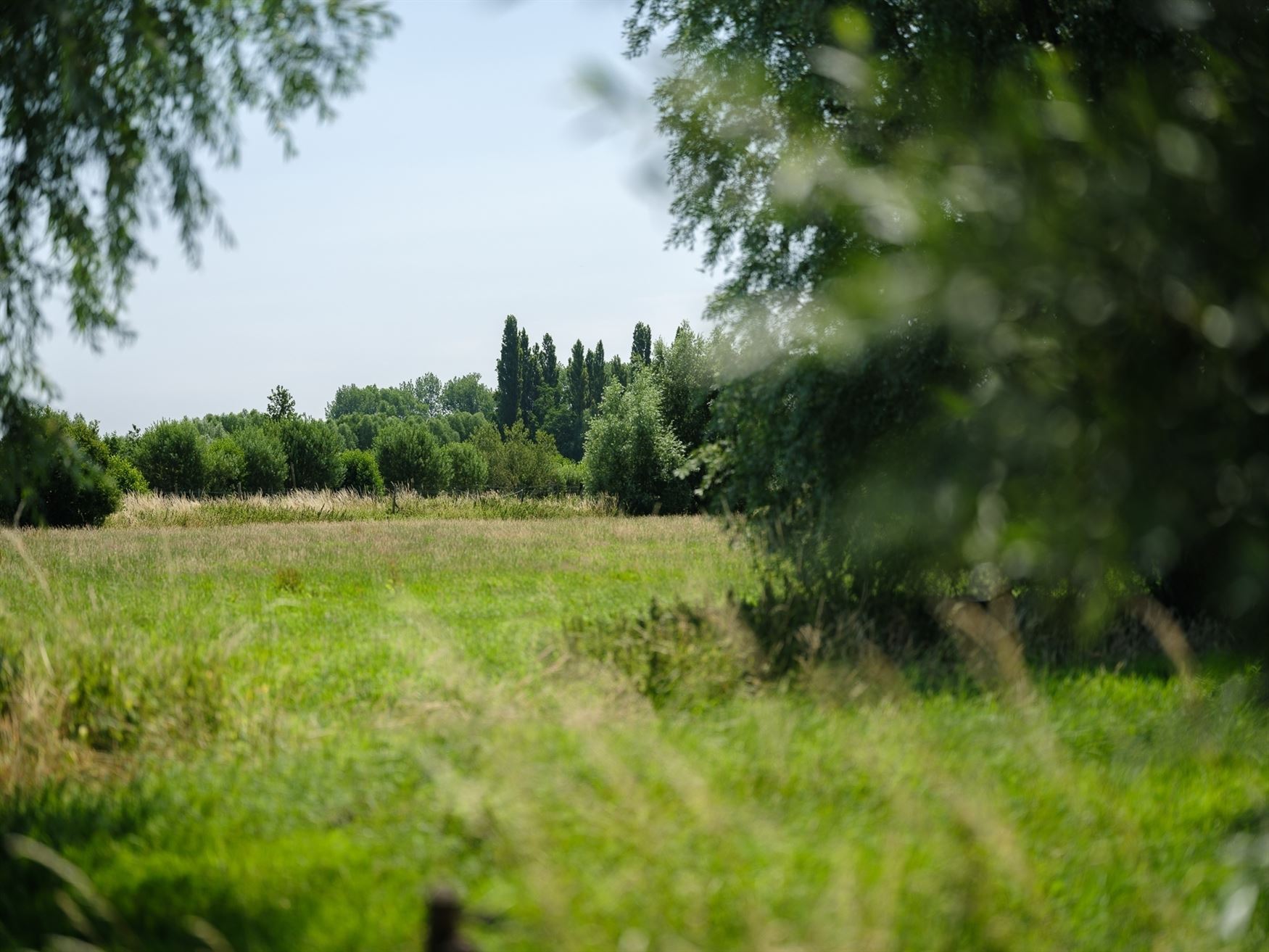 Hoeve voor landbouw foto 5