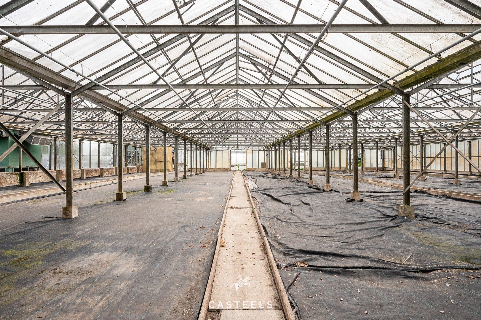 Uitzonderlijke tuinbouwsite in hartje Lochristi - 2,5 hectare met tal van mogelijkheden foto 5