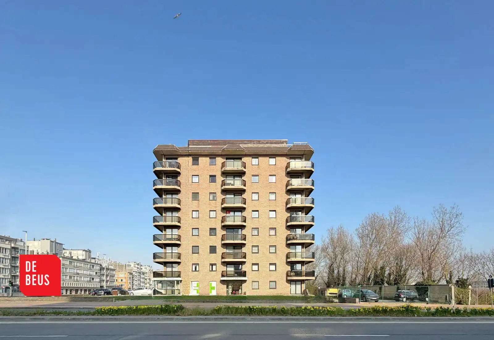 Verzorgde studio met terras, pal aan zee foto {{pictureIndex}}