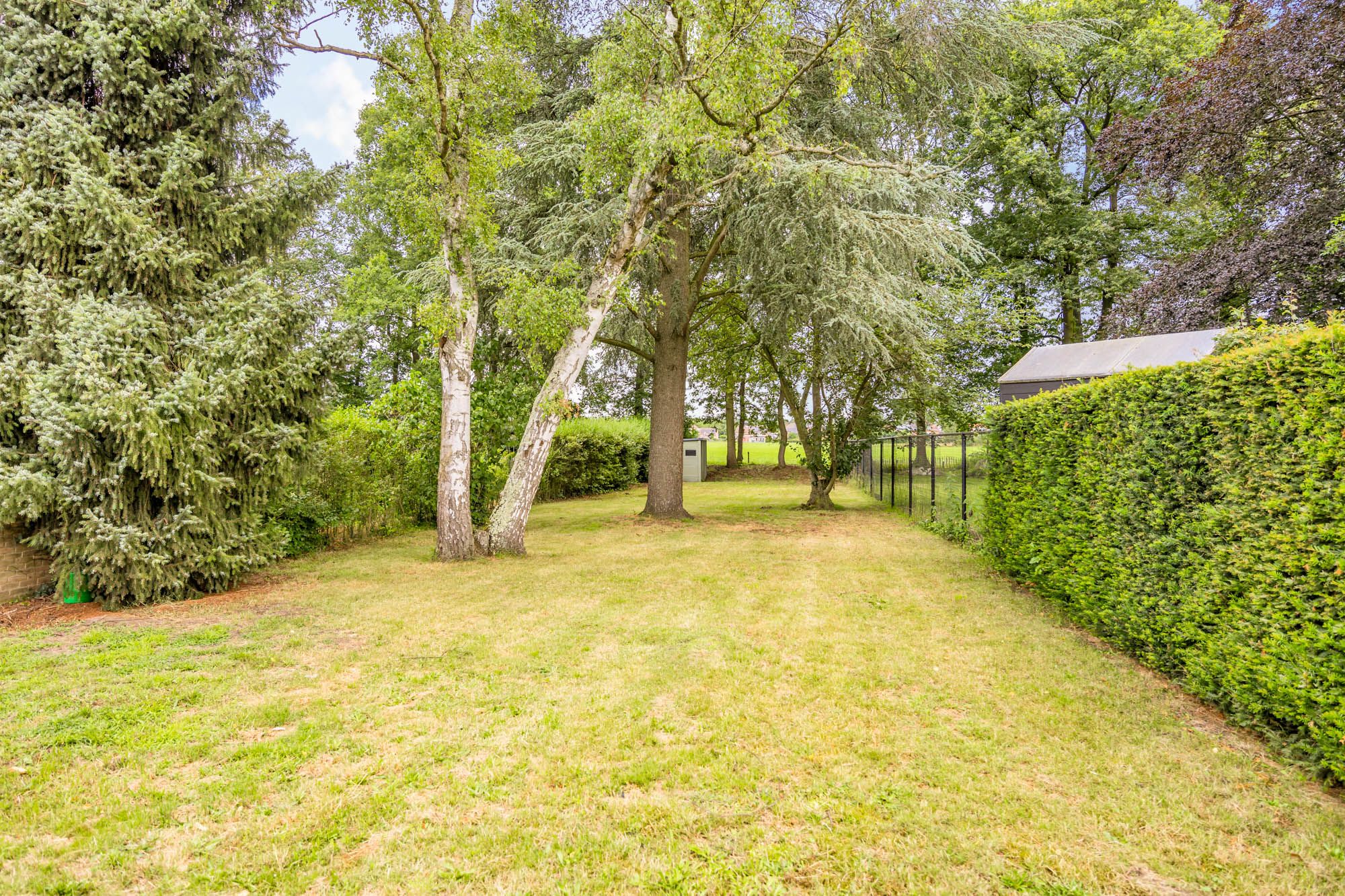 IDEALIS VASTGOED - EEN BIJZONDERE WONING OP EEN BIJZONDERE PLEK! DEZE VOLLEDIG VERNIEUWDE VILLA OP EEN PRACHTIGE RESIDENTIELE LOCATIE BESCHIKT OP DE GELIJKVLOERSE VERDIEPING OVER EEN SFEERVOLLE INKOMHAL, ROYALE LEEFRUIMTE MET AUTHENTIEKE ELEMENTEN, DOORLOPEND IN EEN EXTRA RUIME LEEFKEUKEN (MET TOEGANG TOT TERRAS), EEN MUDROOM, EXTRA RUIME INPANDIGE GARAGE/BERGING/WASPLAATS; OP DE VERDIEPING BESCHIKT DE WONING OVER 3 AANGENAME SLAAPKAMERS, EEN LUXUEUZE BADKAMER EN APART TOILET; VERDER BIEDT DE WONING NOG EEN RUIME BERGZOLDER; DE WONING WERD VOLLEDIG VERNIEUWD VAN RUWBOUW TOT AFWERKING EN VOORZIEN VAN NIEUW LEIDINGWERK EN SANITAIR, VOLLEDIGE NIEUWE ELECTRA, NIEUW SCHRIJNWERK IN ALUMINIUM, NIEUW DAK, VOLLEDIG NIEUW STUCWERK, NIEUWE BUITENAANLEG EN 12 ZONNEPANELEN! EEN ‘MUST SEE’ VOOR KOPERS OP ZOEK IN HET MOOIE SEGMENT! foto 12