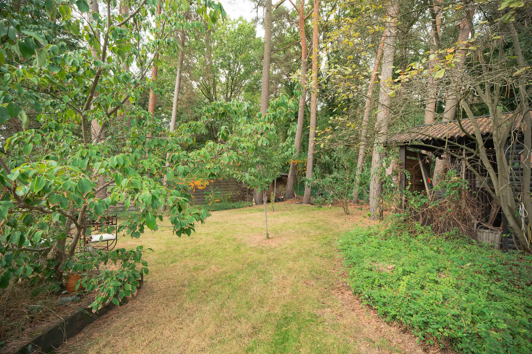 Woning op toplocatie middenin het groen foto 29