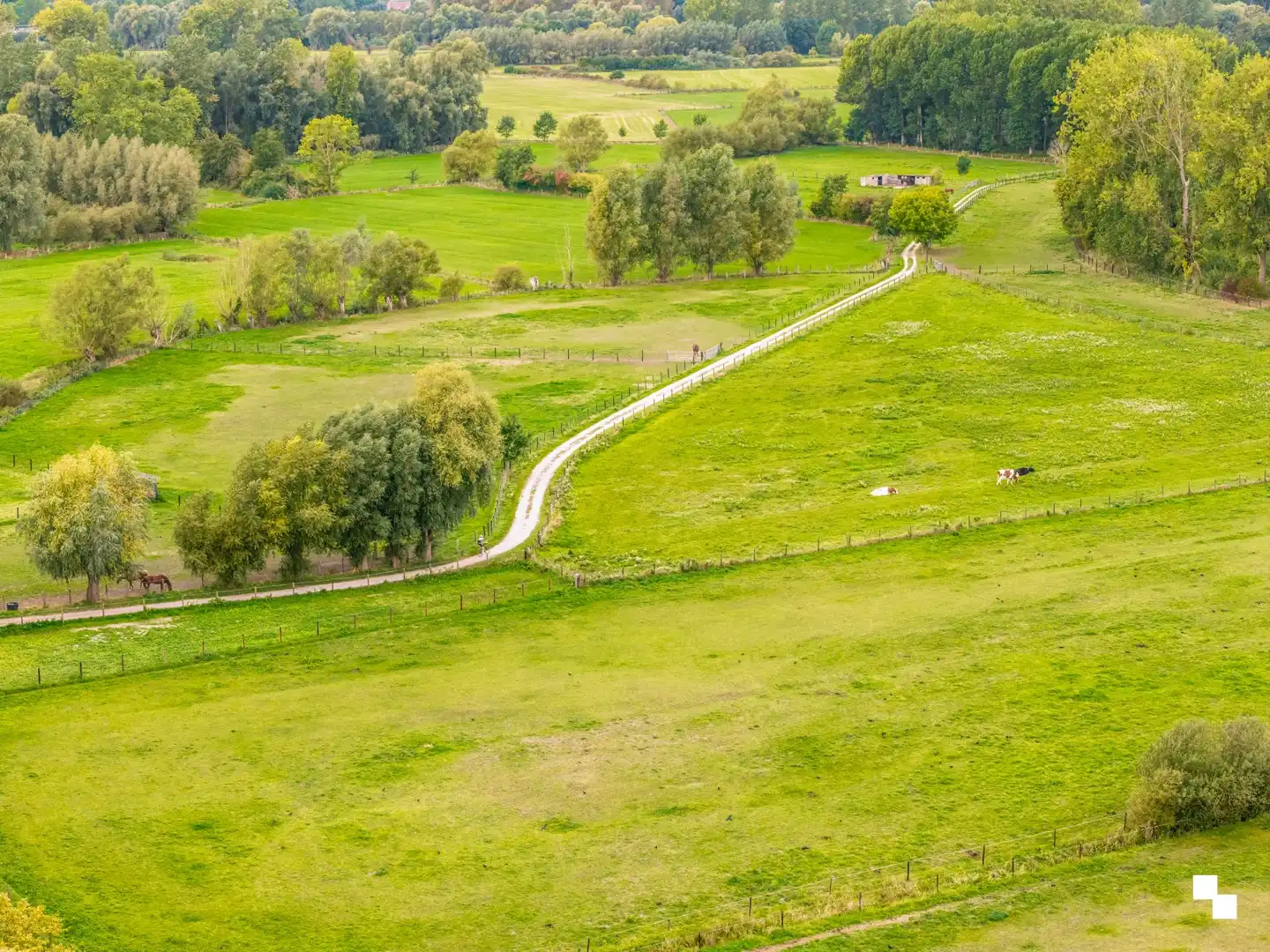 Karaktervolle, instapklare gezinswoning in Merelbeke foto 2