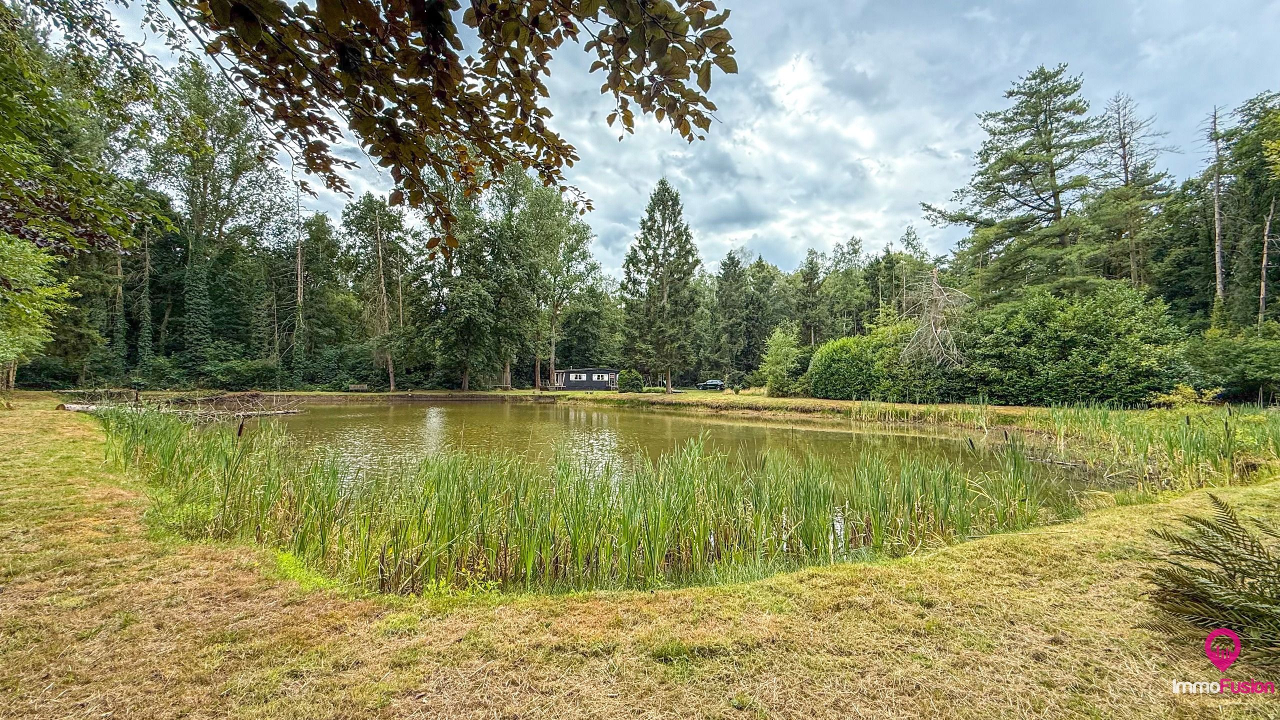 Droom buitenverblijf in Hasselt voor natuurliefhebbers!  foto 28