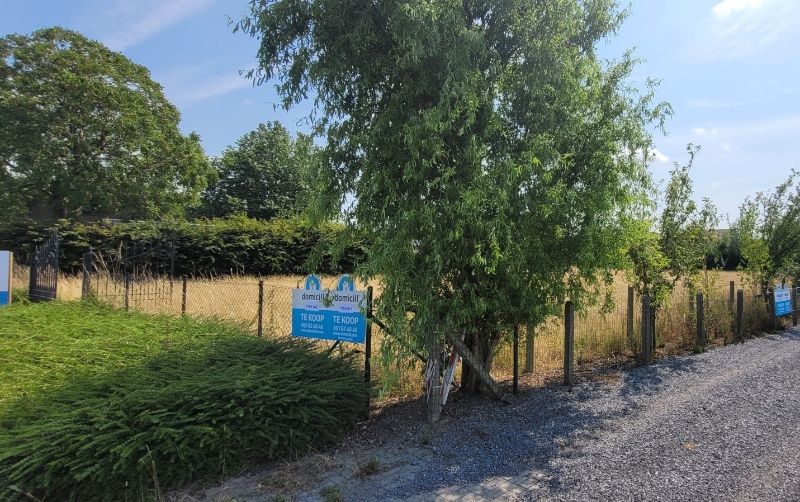 Moorslede-Beitem. Uniek gelegen perceel bouwgrond van 1765m2 perfect Zuidelijk voor alleenstaande villa. Uiterst rustig, in het groen, kindvriendelijk ...een opportuniteit op topligging! foto 4