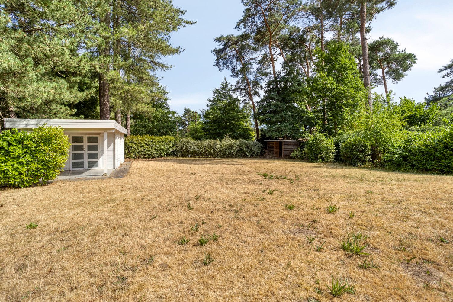 ENERGIEZUINIGE, INSTAPKLARE VILLA, GRENZEND AAN DE BOSSEN VAN AVERBODE! foto 15
