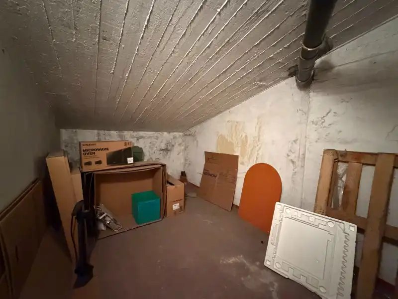 TOPLIGGING NABIJ HET MUINKPARK - APPARTEMENT MET TERRAS foto 13