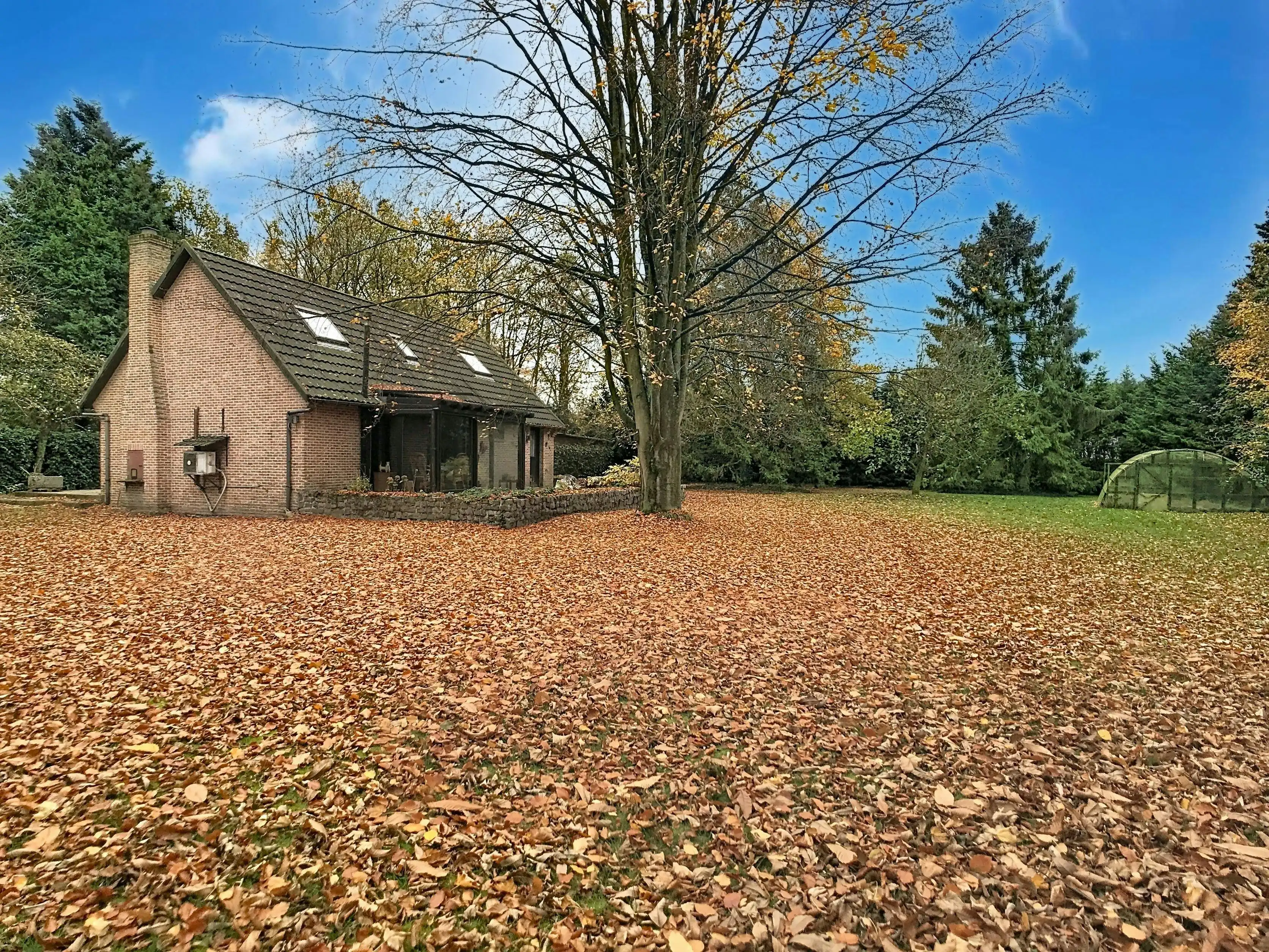 Ruime vakantiewoning op groot open perceel in bosrijk gebied foto {{pictureIndex}}