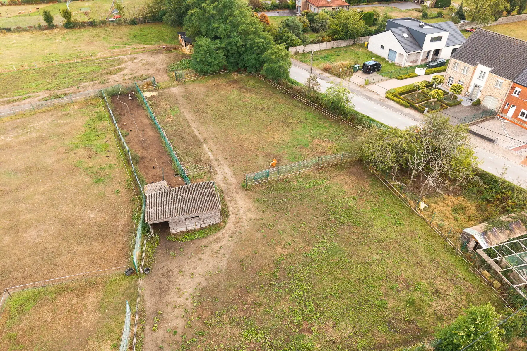 Prachtige weides op toplocatie in Betekom foto 3