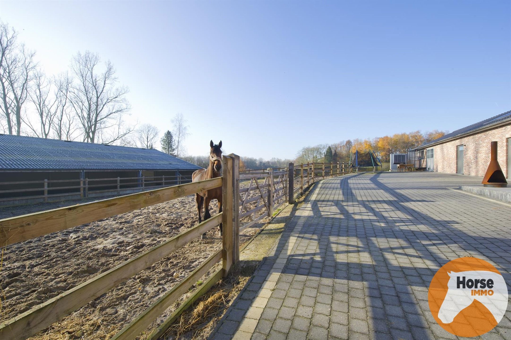 HULDENBERG - Woning met stallen en piste foto 11