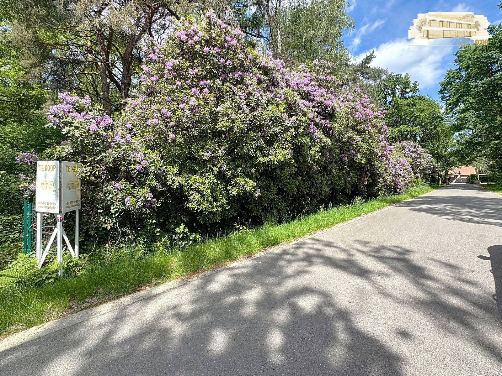 Bouwgrond gelegen in gegeerde doodlopende straat! foto 4