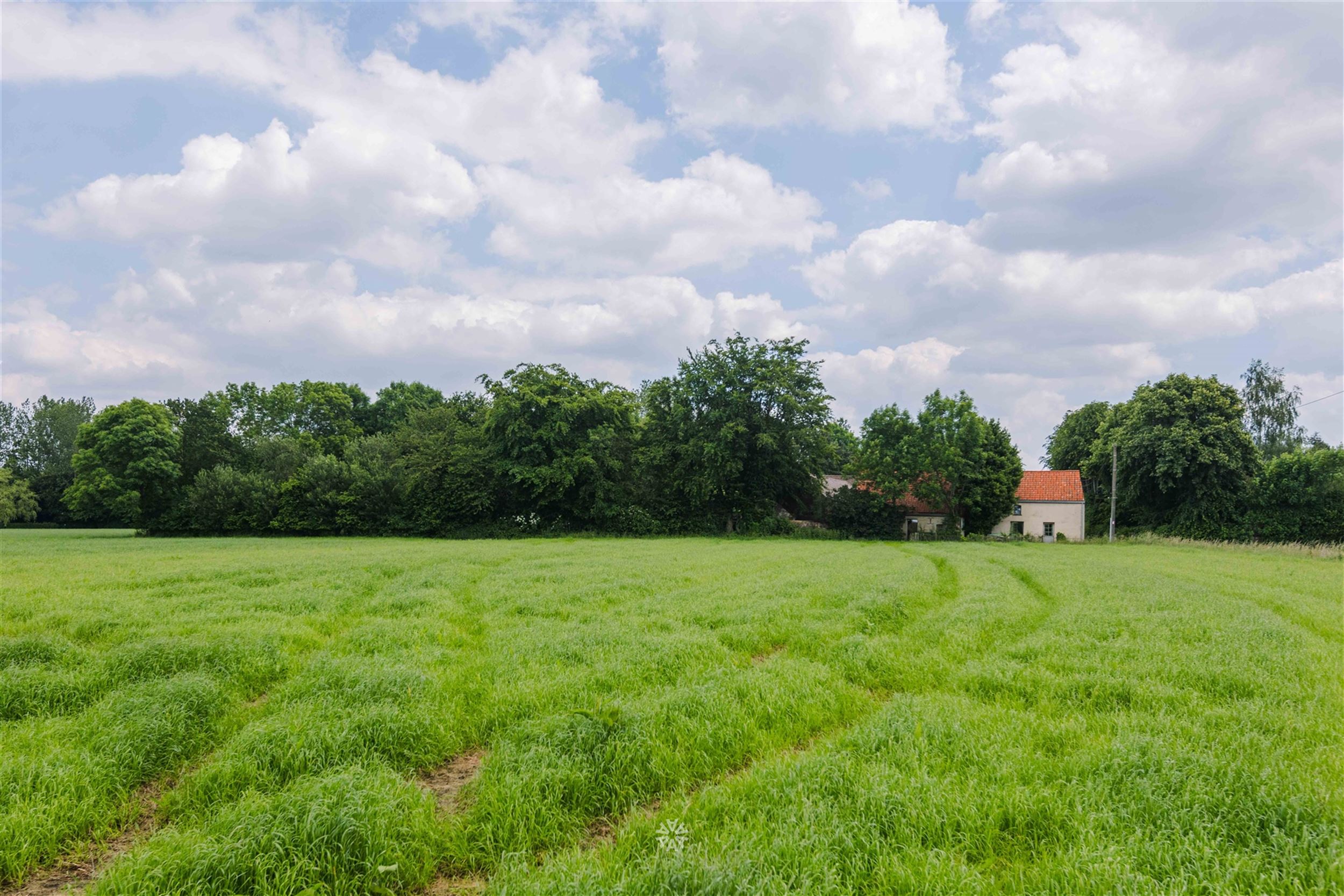 uniek gelegen vierkantshoeve in Schorisse foto 30