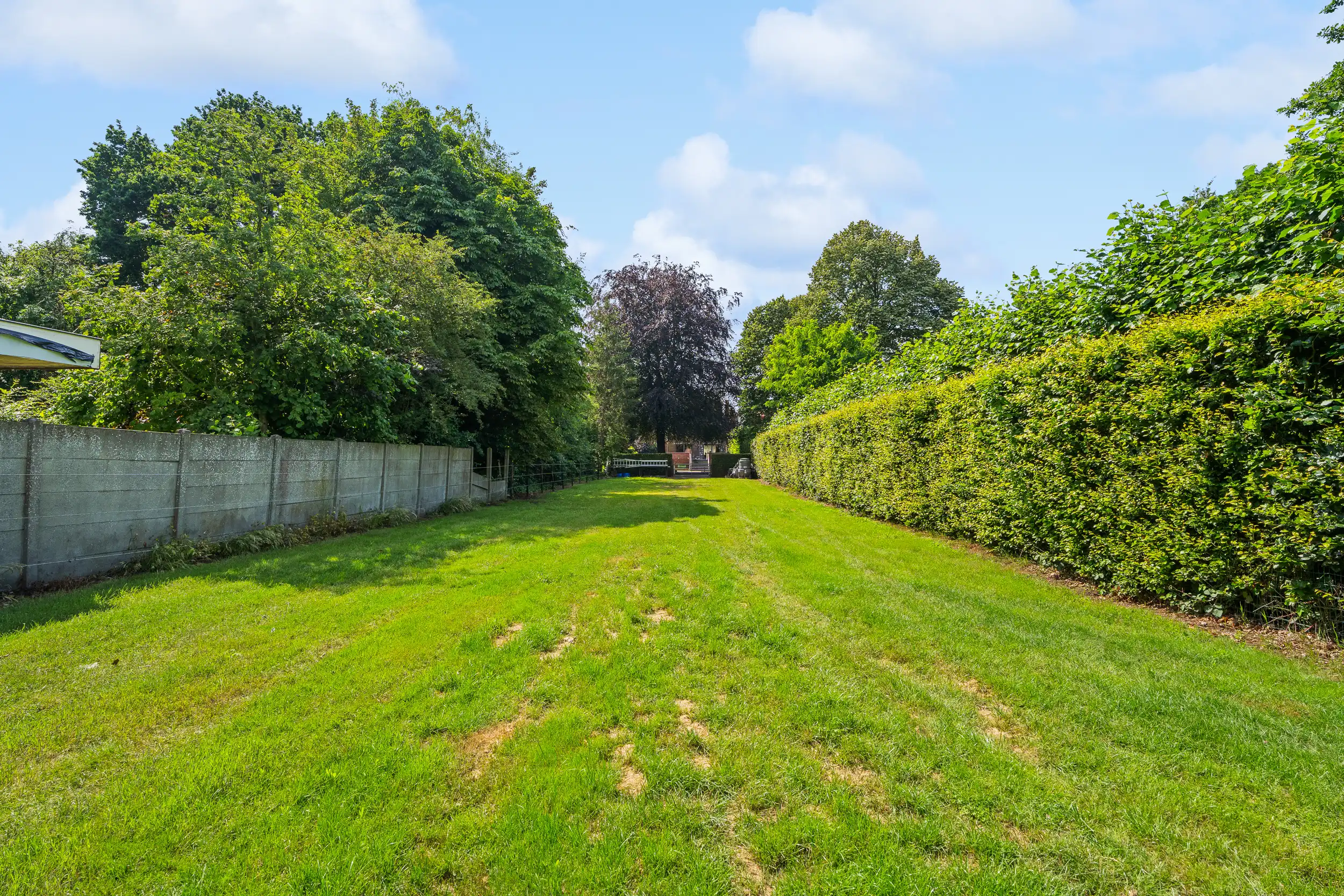 Gerenoveerde woning + achterliggend perceel ( 3.359 m²) foto 39