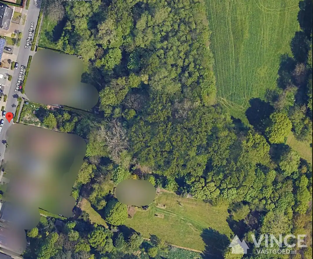 Unieke bouwkans in residentiële wijk te Wommelgem foto 4