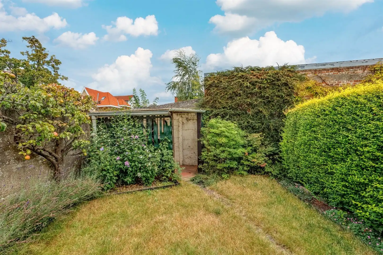 Royale 3-slaapkamerwoning met garage, werkplaats en tuin foto 7