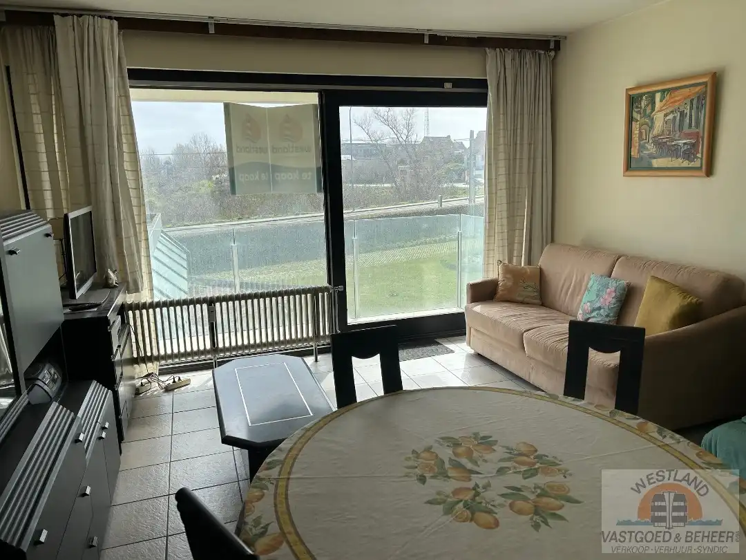 Ruime studio met zicht op de duinen foto 2