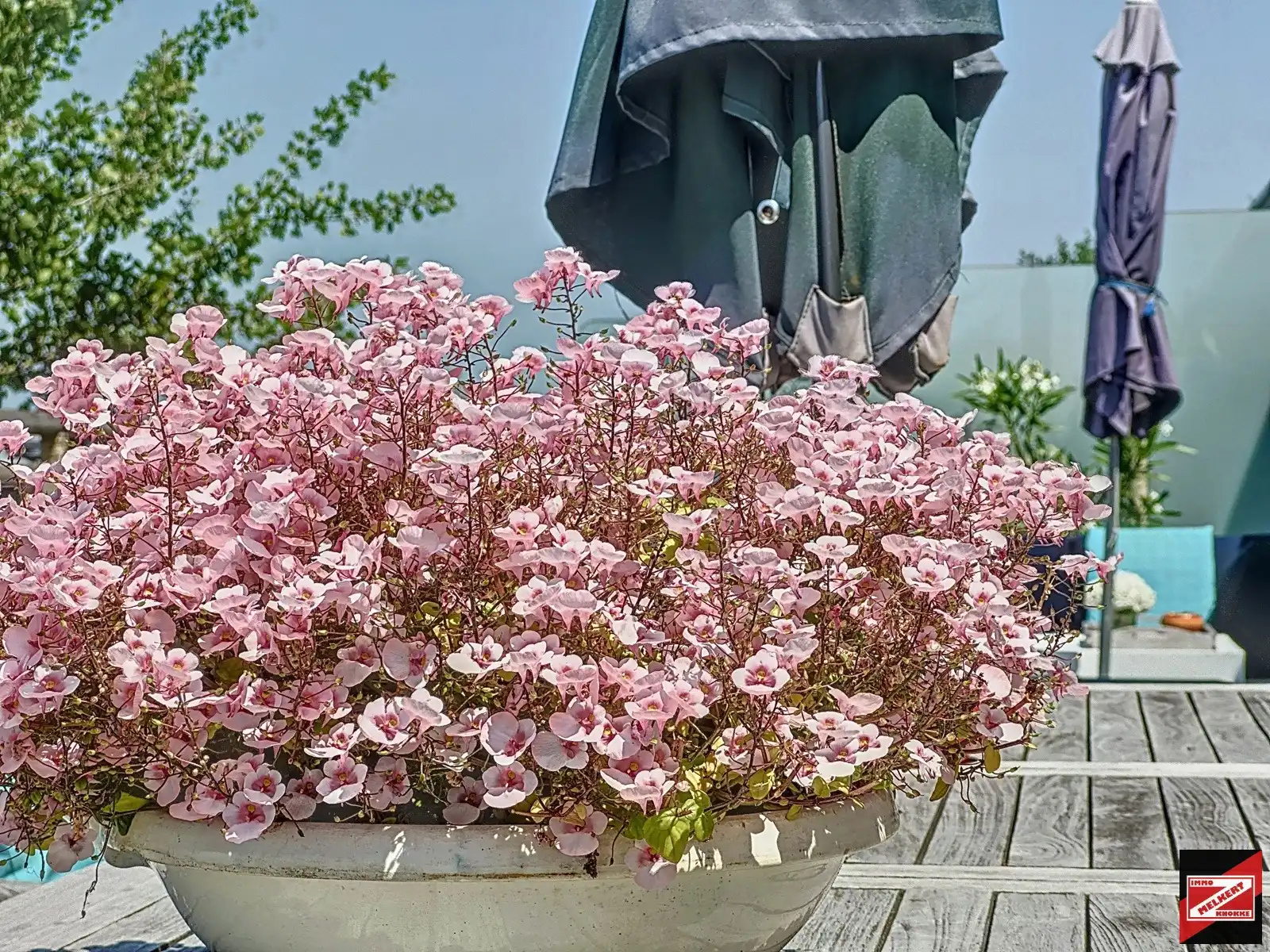 Penthouse te koop foto 38