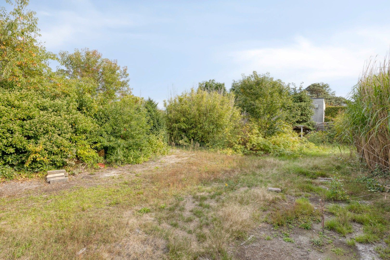 Gunstig gelegen te renoveren woning op mooi perceel van 16a07ca ! foto 28