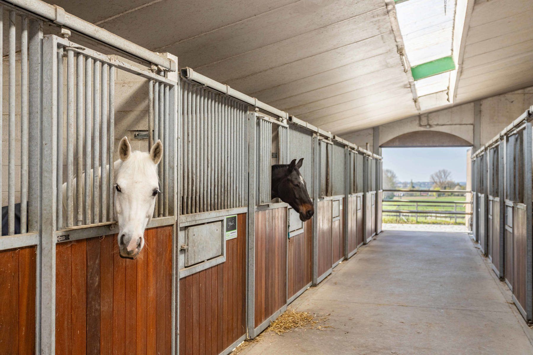 SECRET SALE – Paardenaccommodatie met gerenoveerde woning foto 5