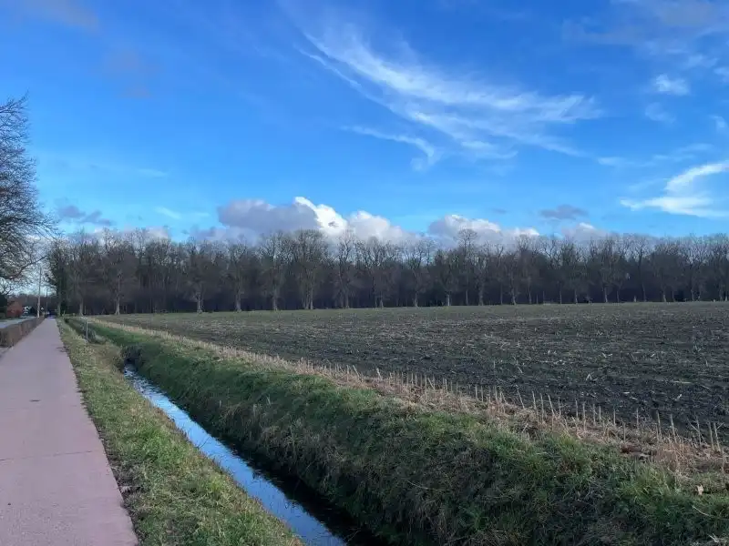 Huis te koop foto 15