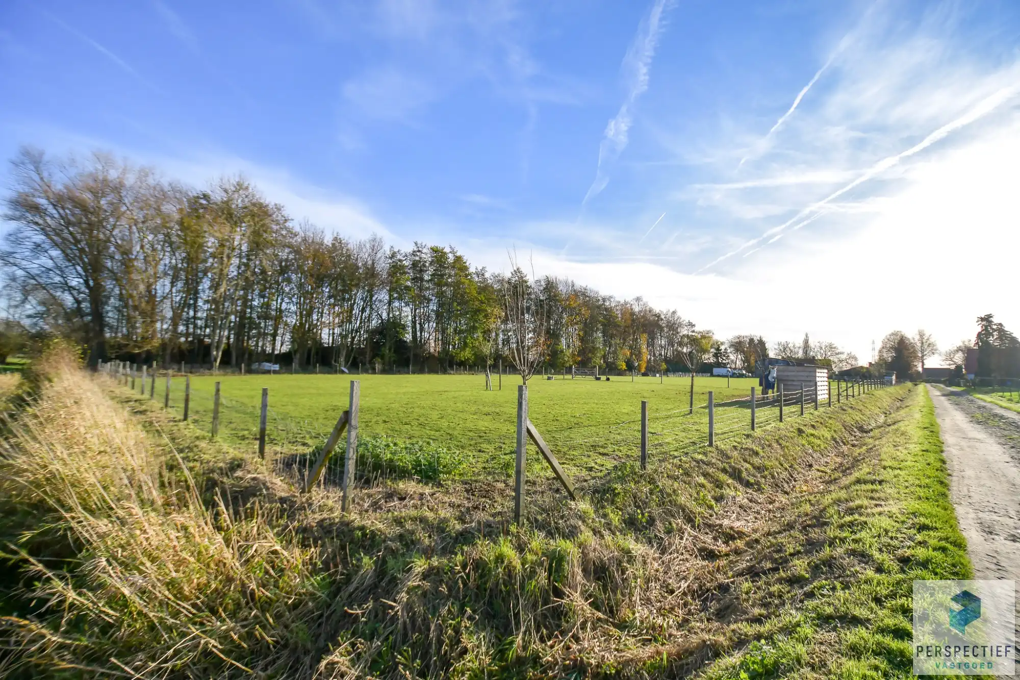 Landelijke woning met een magazijn, schuur en weide op 10&nbsp;224m² foto 7