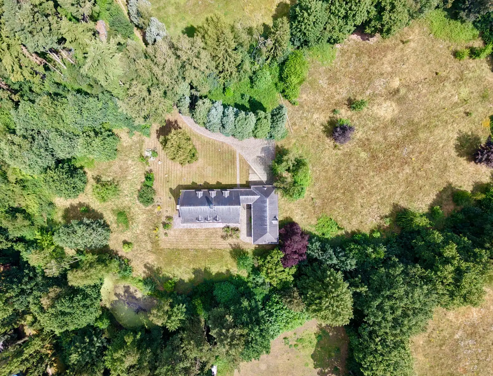 UNIEK PAARDENDOMEIN OP 28.870 M² foto 2