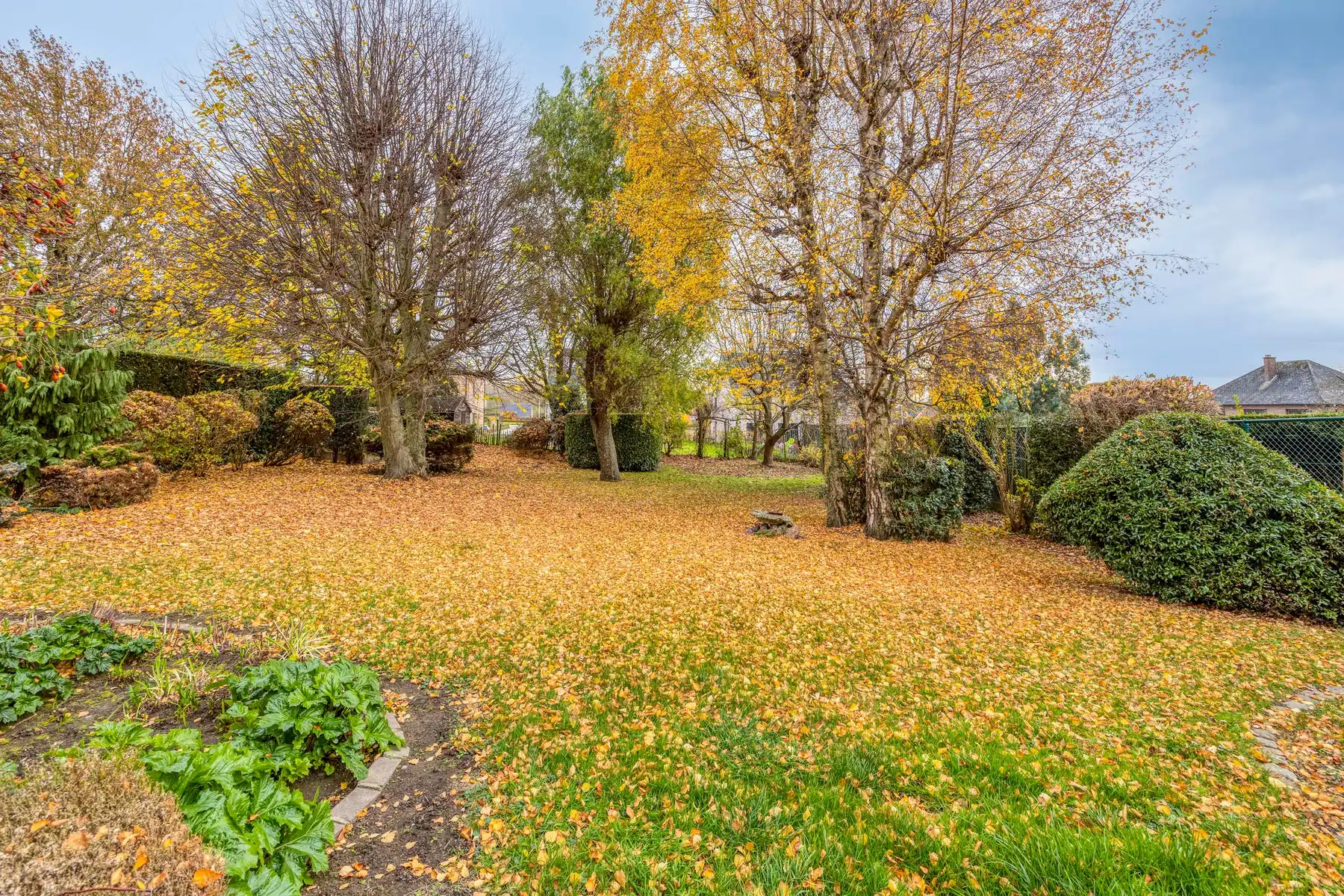 Gezinswoning met 6 slaapkamers op een perceel van 12a foto 11