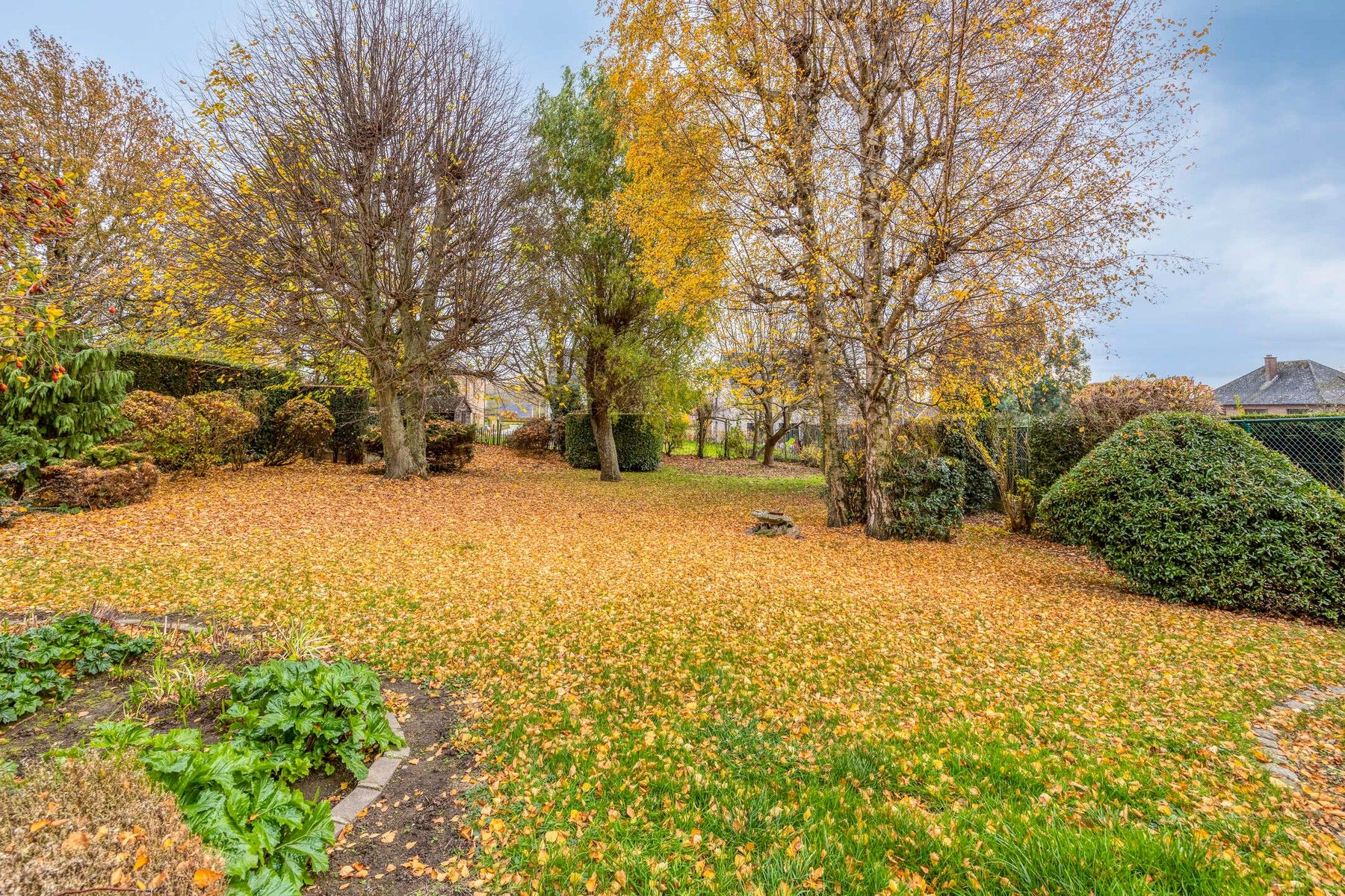 Gezinswoning met 6 slaapkamers op een perceel van 12a foto 11