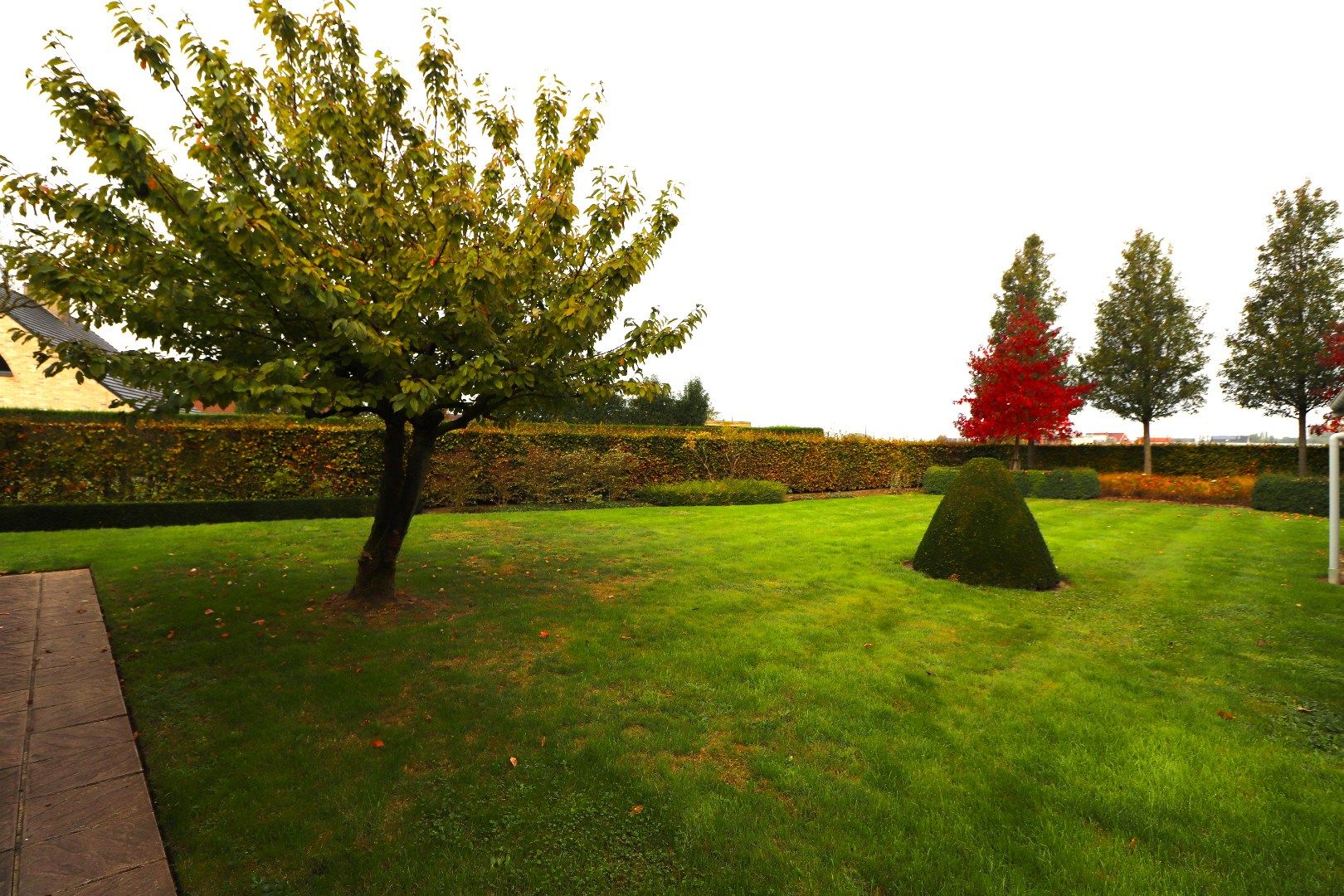 Alleenstaande woning te huur in Pittem: ideale gezinswoning op een toplocatie! foto 4