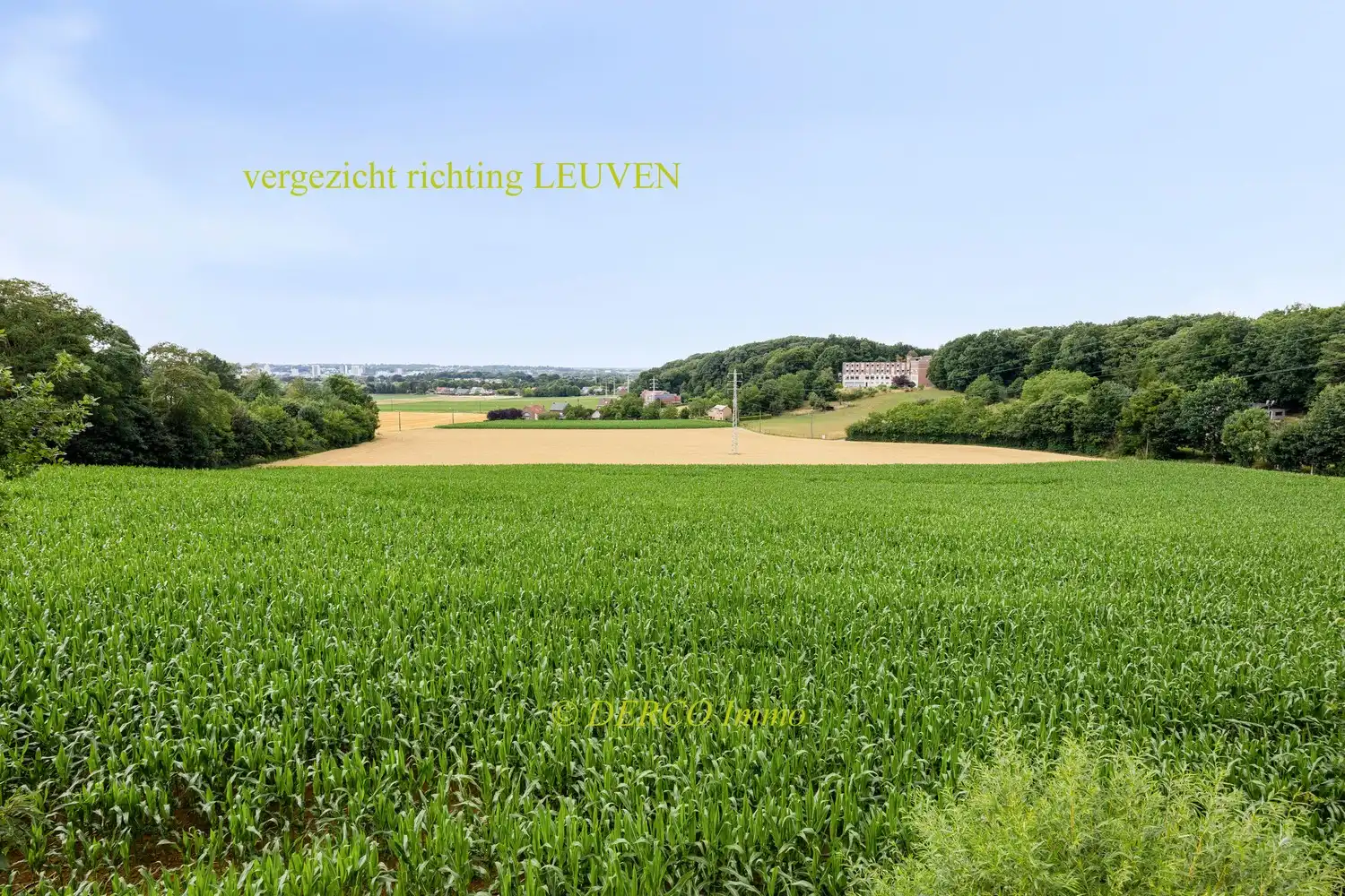 discreet achterin gelegen villa, uitzonderlijk rustig tot 6,10 hectare foto 7