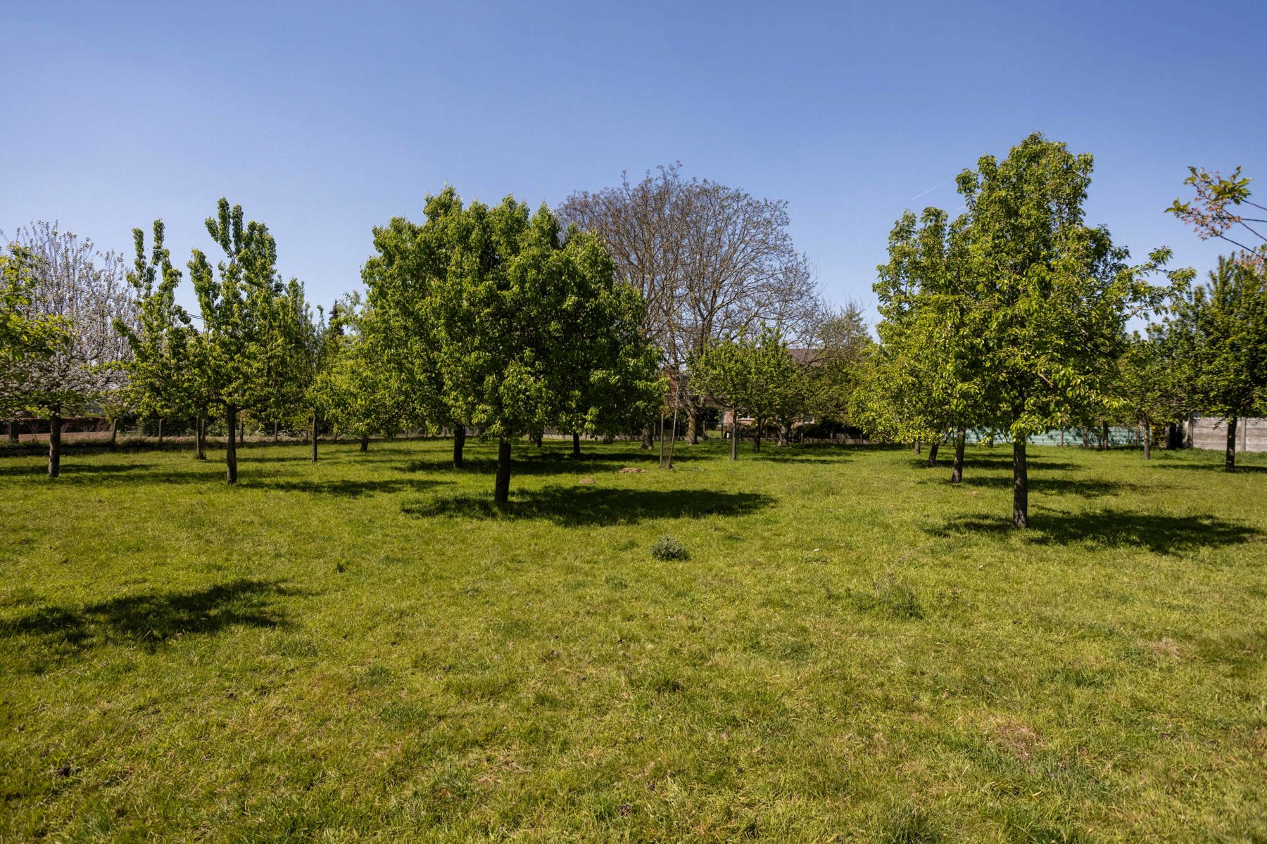 Unieke villa, rustig gelegen met prachtig uitzicht  foto 21