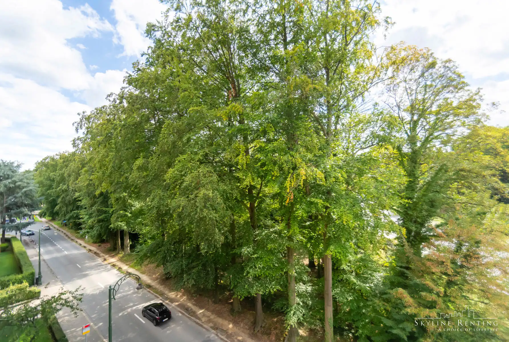 Prachtig gemeubeld 2 slpk. met zicht op Ter Kamerenbos foto 19