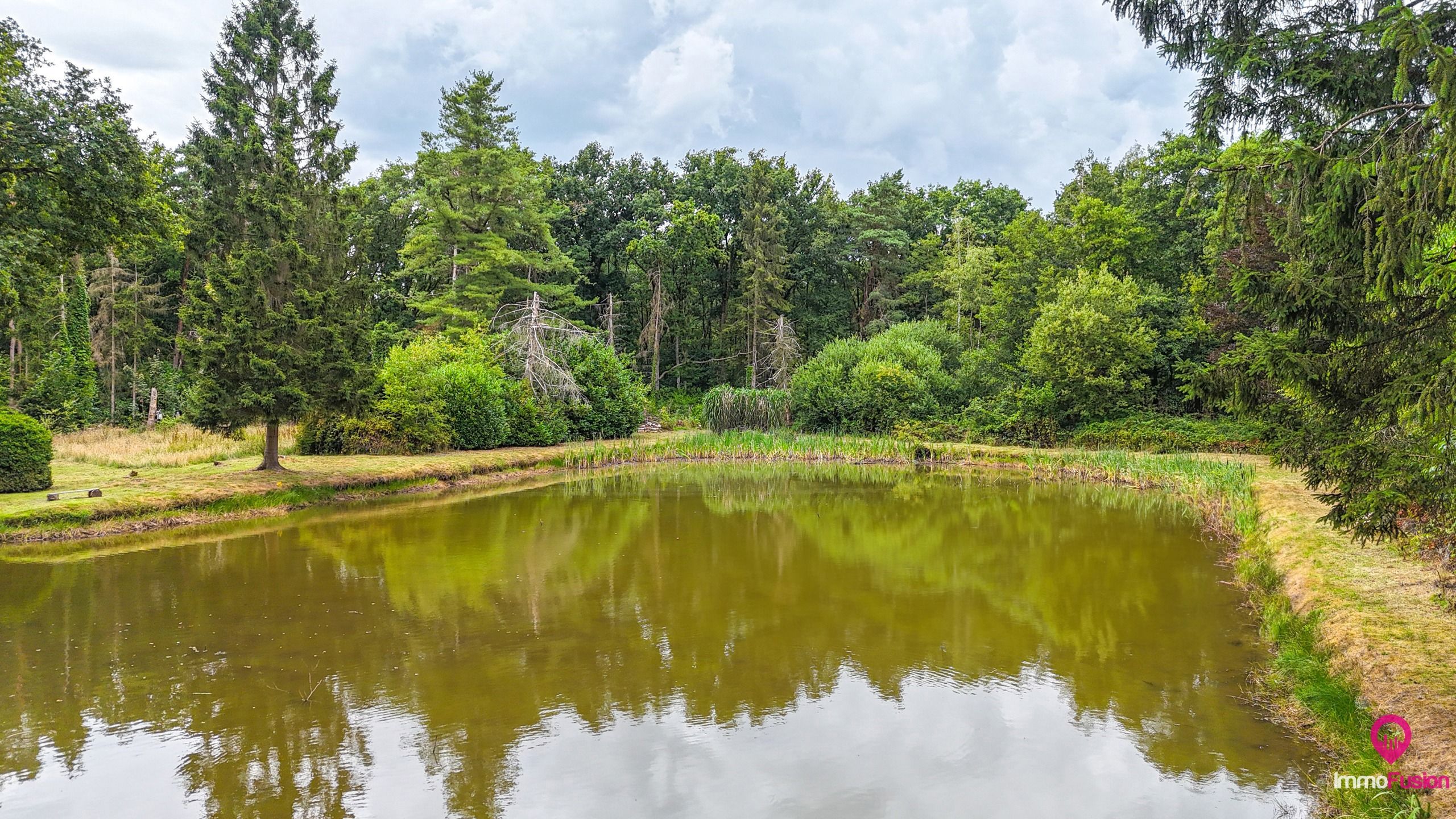 Droom buitenverblijf in Hasselt voor natuurliefhebbers!  foto 22