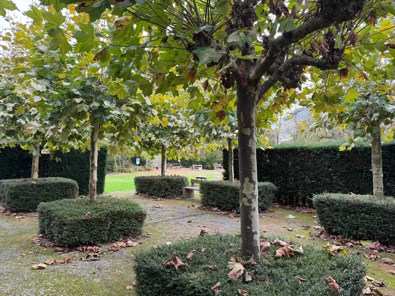 1.786 m² kantoren met 54p foto 6