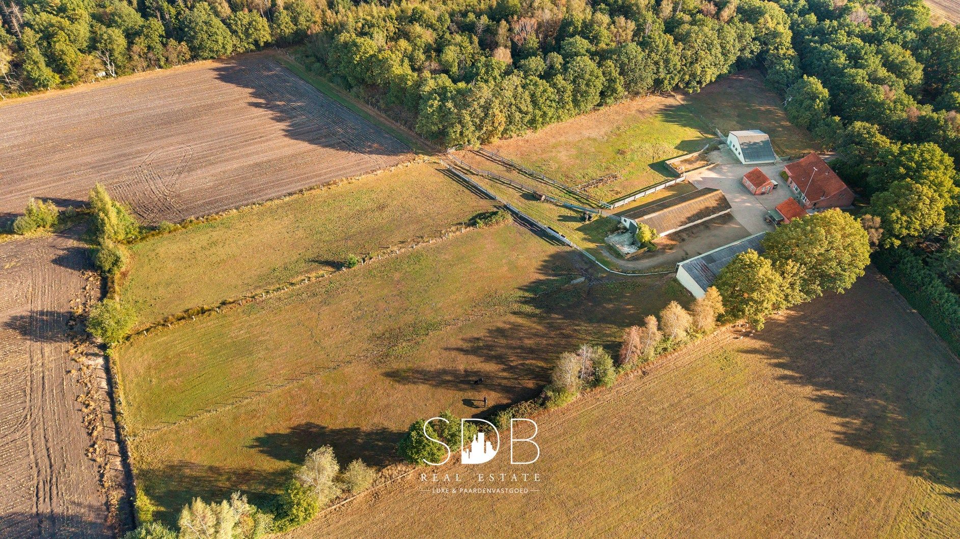 Authentieke hoeve met diverse bijgebouwen en graslanden op 93.155m² foto 49